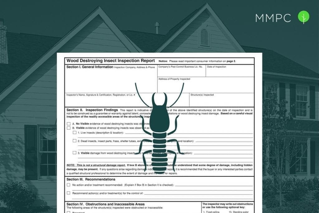 Wood Destroying Insect inspections and Report