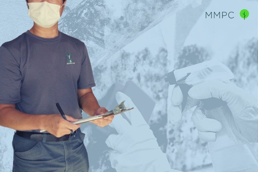 Local Law 55 and keeping NYC homes free of pests and mold