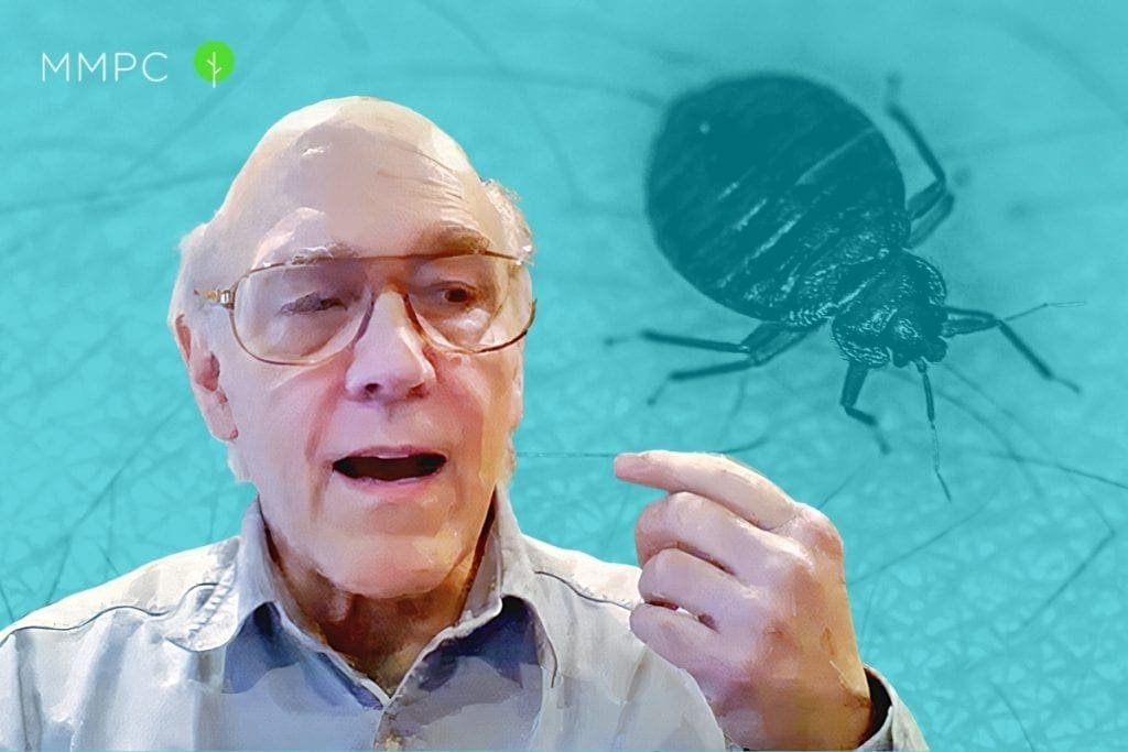 An entomologist explains whether bed bug bites are dangerous.