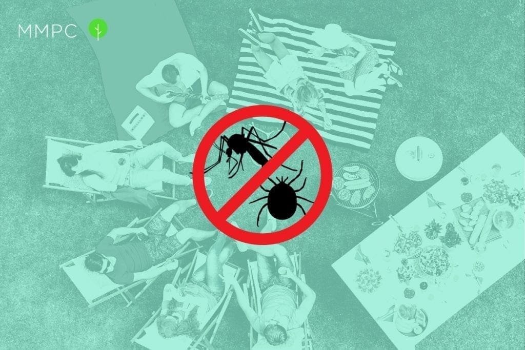 How to keep mosquitoes and ticks away during the summer months.