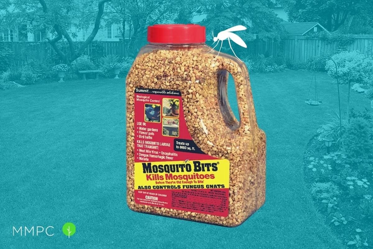 How Mosquito Bits Can Help You Avoid Mosquito Bites